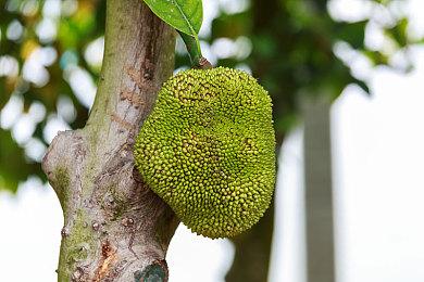 3D平台动作游戏《Lunistice》9月2日登陆Switch和PC